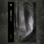 Voice of the Screaming Mountain (11/15/2025)