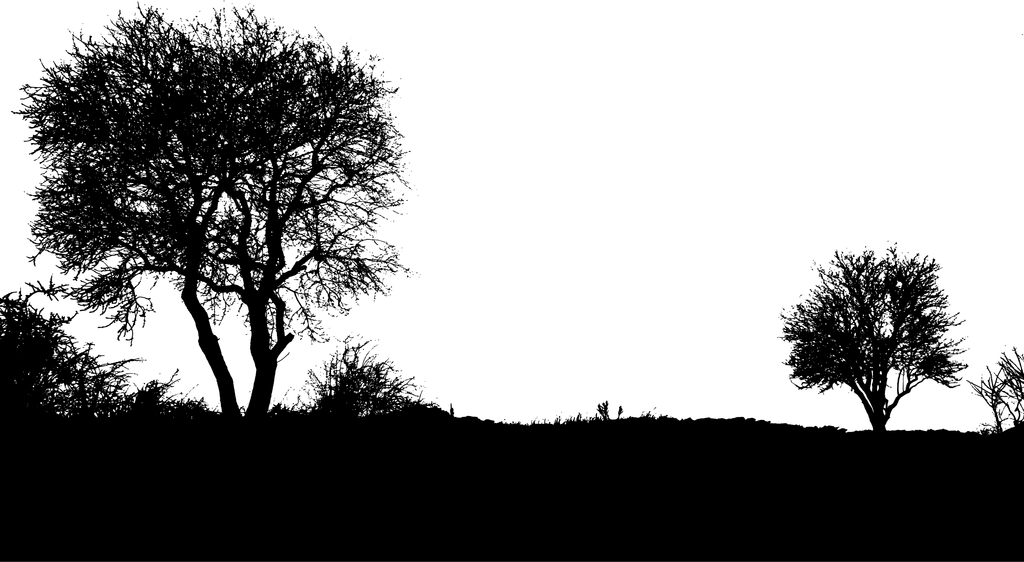Replacement Parts (10/3/2026)